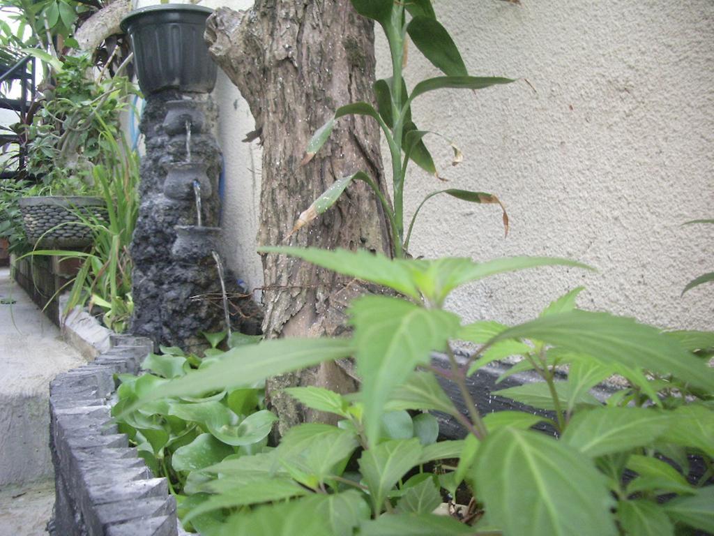 Gusti Homestay Kerobokan エクステリア 写真
